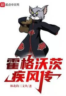 霍格沃茨疾风传