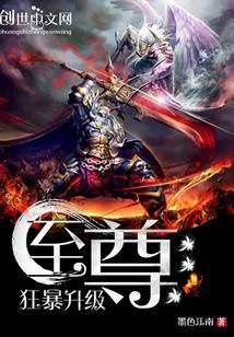 至尊狂暴升级