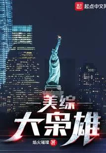 美综大枭雄