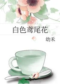 白色鸢尾花