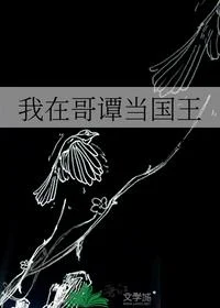 我在哥谭当国王