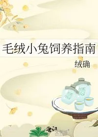 毛绒小兔饲养指南
