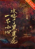 一不小心攻略了黑莲花
