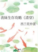 表妹生存攻略（清穿）