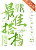 最佳搭档[刑侦]
