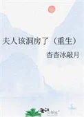 夫人该洞房了（重生）