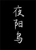 夜阳鸟