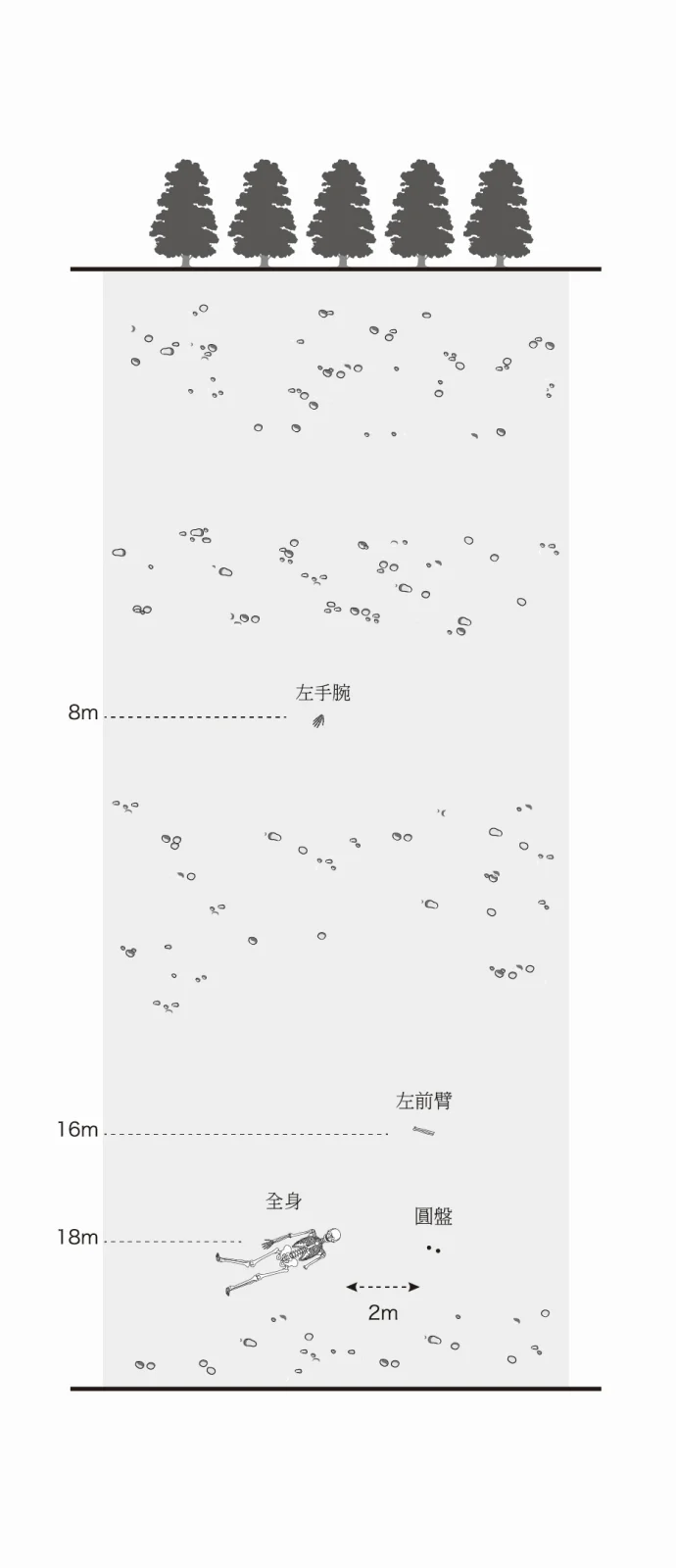 莫提利安的手腕